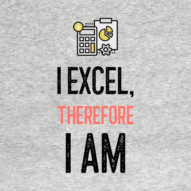 I Excel, Therefore I am by Life of an Accountant